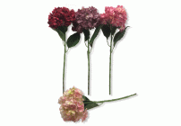 Интерьерные цветы микс (240 782)