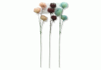 Интерьерные цветы микс (240 784)