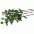 Интерьерные цветы микс (240 771)