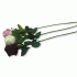 Интерьерные цветы микс (240 775)