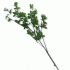 Интерьерные цветы микс (240 785)