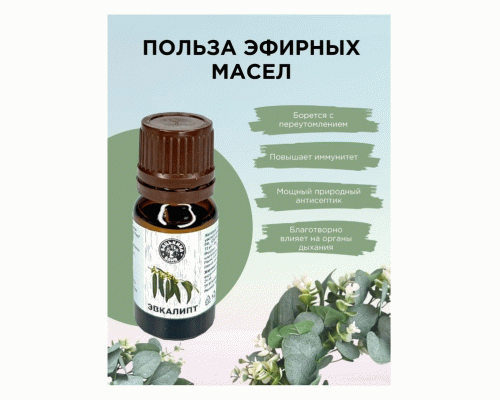 Масло эфирное Эвкалипт 10мл Бацькина баня (228 081)
