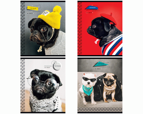 Тетрадь 48л кл. ArtSpace Питомцы. Pug (У-10) /Т48к_29623/ (236 976)