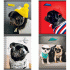 Тетрадь 48л кл. ArtSpace Питомцы. Pug (У-10) /Т48к_29623/ (236 976)