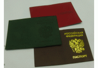 Обложка для паспорта (190 261)