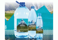 Вода питьевая негазированная Альпина 1л Серебро Хакасии (253 435)