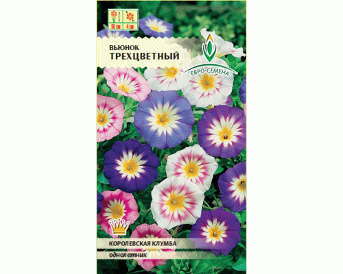 Вьюнок трехцветный смесь 0,5г (цв/п) (Евро-Семена) (263 476)