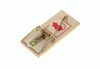 Мышеловка деревянная Mr. Mouse (У-100) (505)