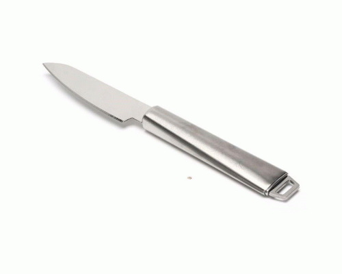 Нож кухонный 25*2,8*1,5см (273 069)