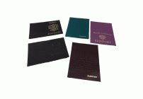 Обложка для паспорта в ассортименте (78 244)
