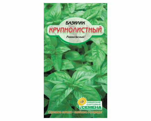 Базилик Крупнолистный 0,5г (Сибирские Сортовые Семена) (286 072)