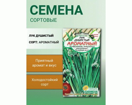 Лук душистый Ароматный 0,5г Р (Сибирские Сортовые Семена) (286 084)