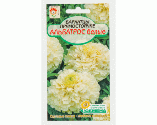 Бархатцы Альбатрос белые прямостоячие 0,05г (Сибирские Сортовые Семена) (286 125)