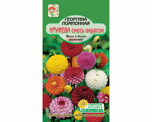 Георгина Кружево смесь окрасок помпонная 0,1г (Сибирские Сортовые Семена) (286 134)