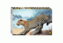 Пазлы 2000 элементов StepPuzzle Леопард в дикой природе (284 912)