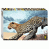 Пазлы 2000 элементов StepPuzzle Леопард в дикой природе (284 912)