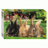 Пазлы 1000 элементов StepPuzzle Кролики (284 907)