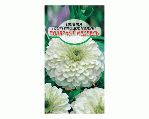 Цинния Полярный медведь 0,3г (Сибирские Сортовые Семена) (286 157)