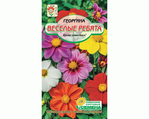 Георгина Веселые ребята смесь 0,2г (Сибирские Сортовые Семена) (286 132)