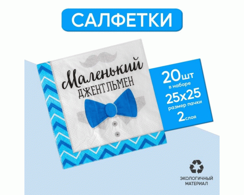 Салфетки бумажные 20шт 25см Маленький джентльмен (297 203)