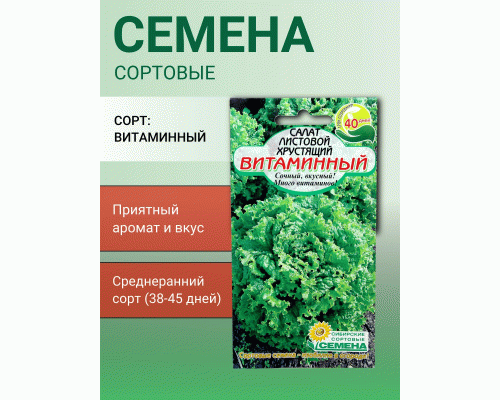 Салат Витаминный хрустящий 0,5г Р (Сибирские Сортовые Семена) (300 579)