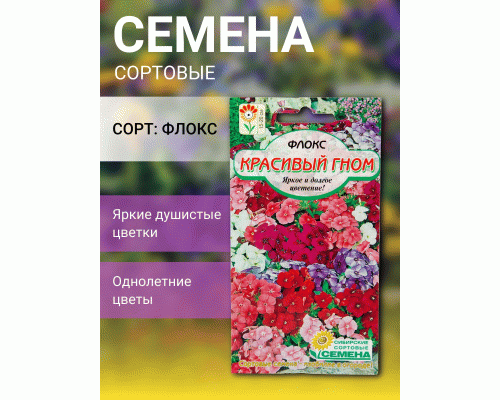 Флокс Красивый гном 0,1г (Сибирские Сортовые Семена) (300 591)