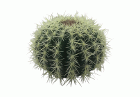 Искусственное растение Кактус d-25см (302 400)