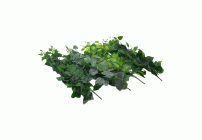 Ветка Зелень ампельная 80см (302 389)