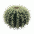 Искусственное растение Кактус d-25см (302 400)