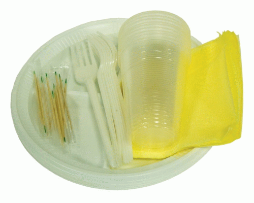 Набор одноразовой посуды на 10 персон Пикник мини №3 (305 324)