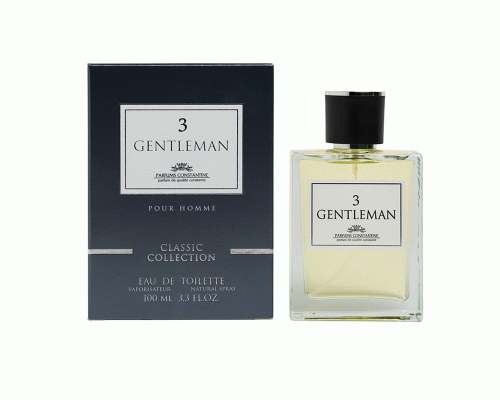 Туалетная вода мужская 100мл Gentleman 3 (309 347)