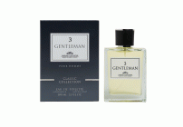 Туалетная вода мужская 100мл Gentleman 3 (309 347)