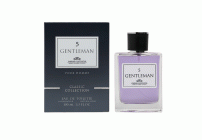 Туалетная вода мужская 100мл Gentleman 5 (309 349)