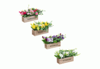 LADECOR Цветочная композиция в деревянном кашпо, 4 цвета, 20х16 см (268 368)
