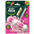 Чистящий блок для унитаза Master Fresh Duo Effect Gold 5 в 1 сакура (314 595)