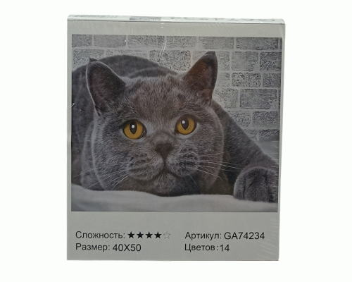 Картина для творчества Алмазная мозаика 40х50см (318 255)