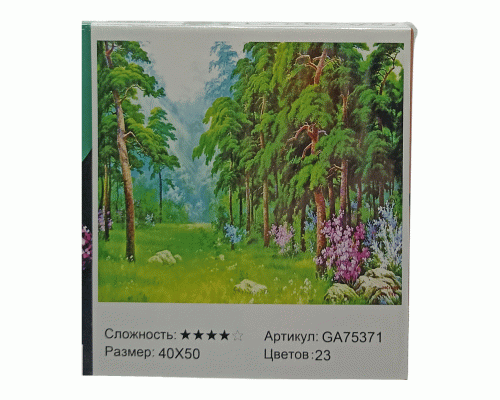 Картина для творчества Алмазная мозаика 40х50см (318 258)