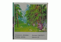 Картина для творчества Алмазная мозаика 40х50см (318 258)