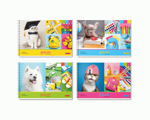 Альбом для рисования 24л. на гребне BG Multicolor /АР4гр24 12837/ (319 389)