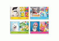 Альбом для рисования 24л. на гребне BG Multicolor /АР4гр24 12837/ (319 389)